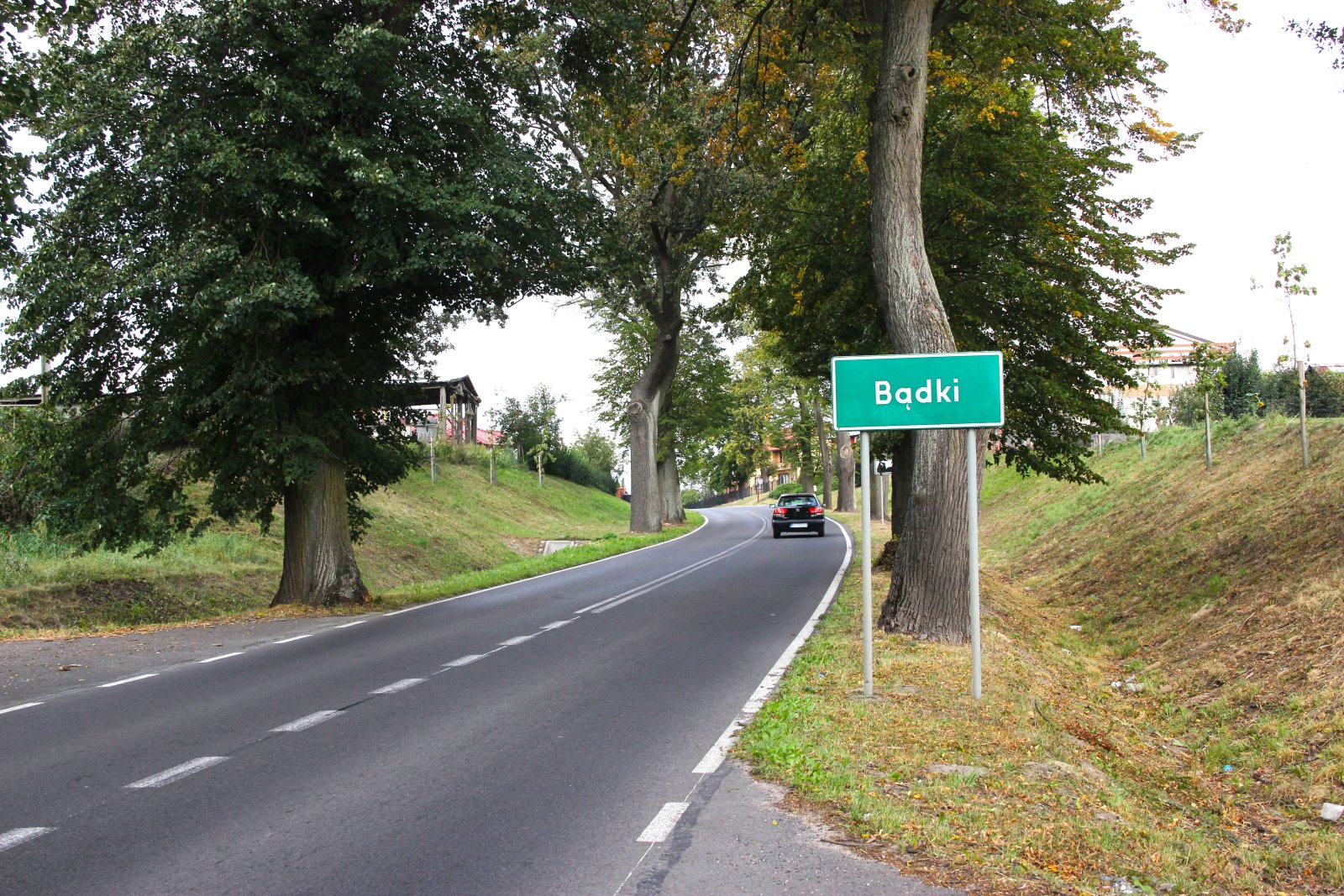 drogi