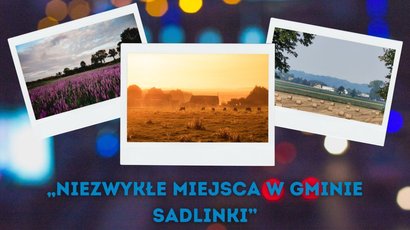 plakat tematyczny przedstawiający 3 zdjęcia przyrodnicze i nawiązanie tekstem do wydarzenia