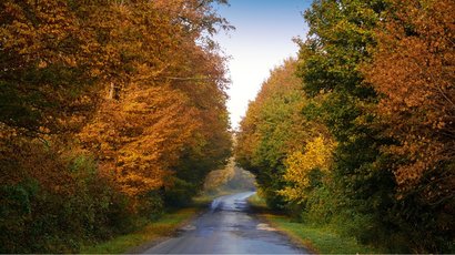 Na zdjęciu widać drogę biegnącą przez las, wokół drzewa w kolorach jesieni.