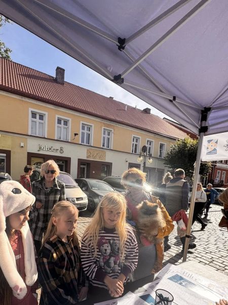 zdjęcie przedstawia dzieci przy stoisku. zdjęcie przedstawia dzieci przy stoisku.